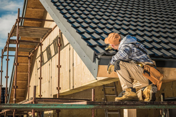 Best Roof Moss and Algae Removal  in De Queen, AR
